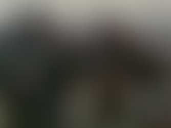 What’s Black at Sundance 2026: Movies, Documentaries and More!
