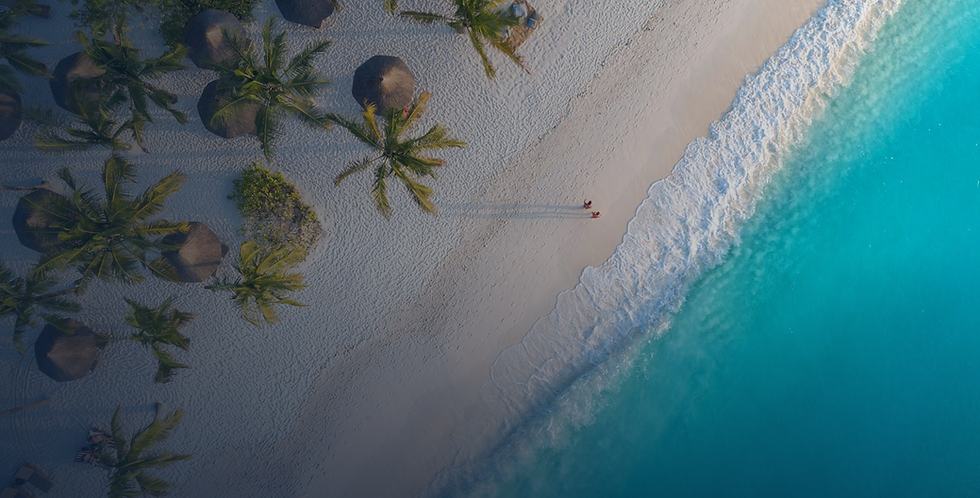 Aerial view of palm trees and turquoise water on a beach