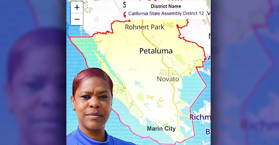California State Assembly District 12 after 2020 redistricting cycle (From ballotpedia.org). Lower left of map: Ida Times-Green.