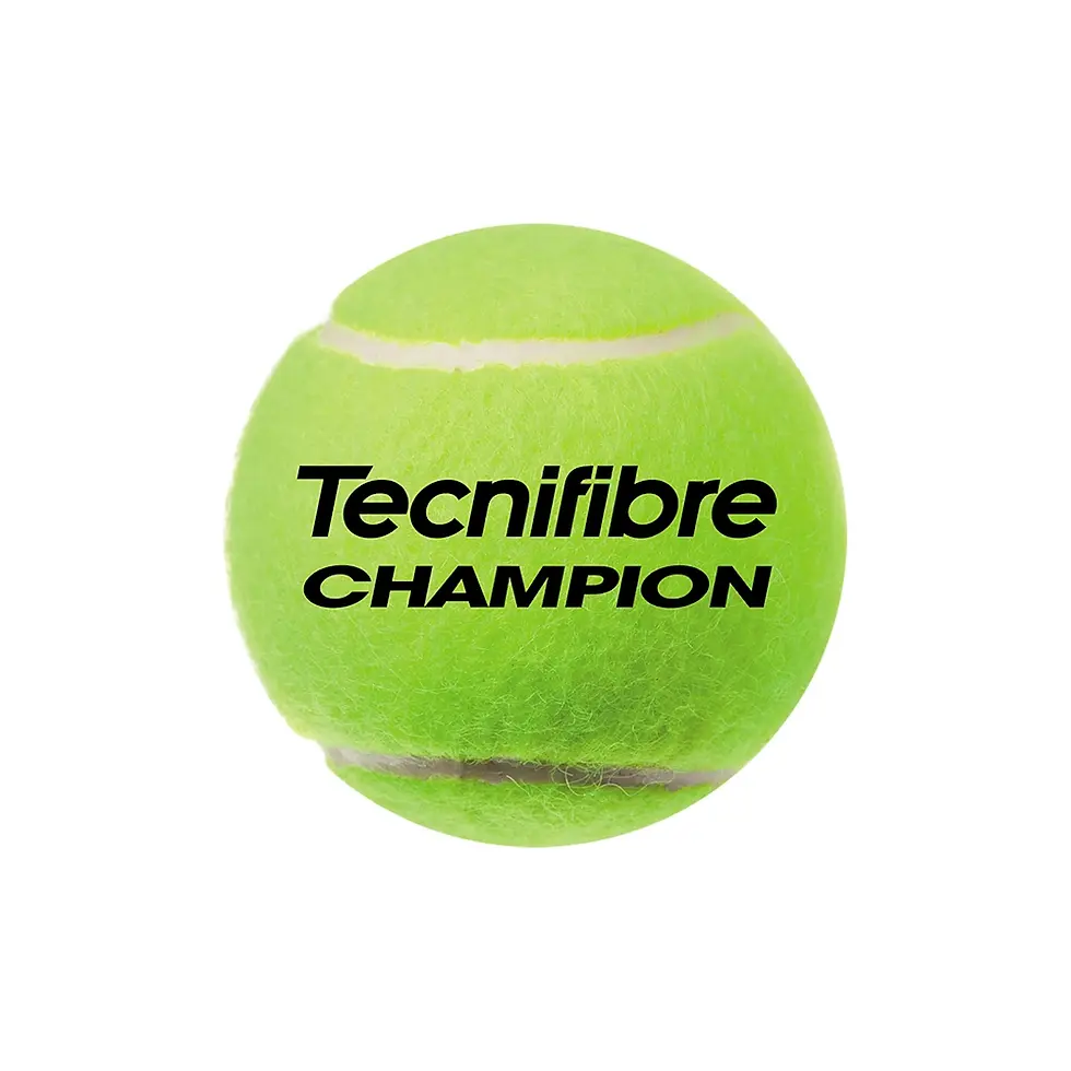 Tecnifibre Champion One teniszlabda (4 db/tubus)