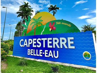 Design sans titre (6)_edited.jpg