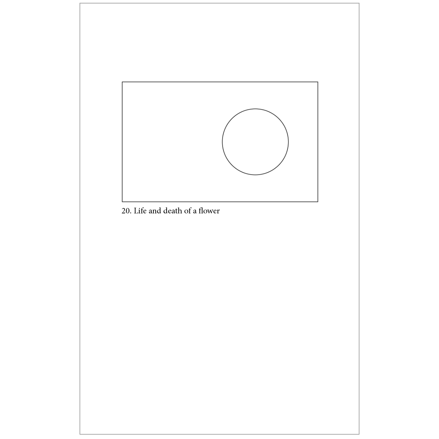 20. Life and Death of a Flower