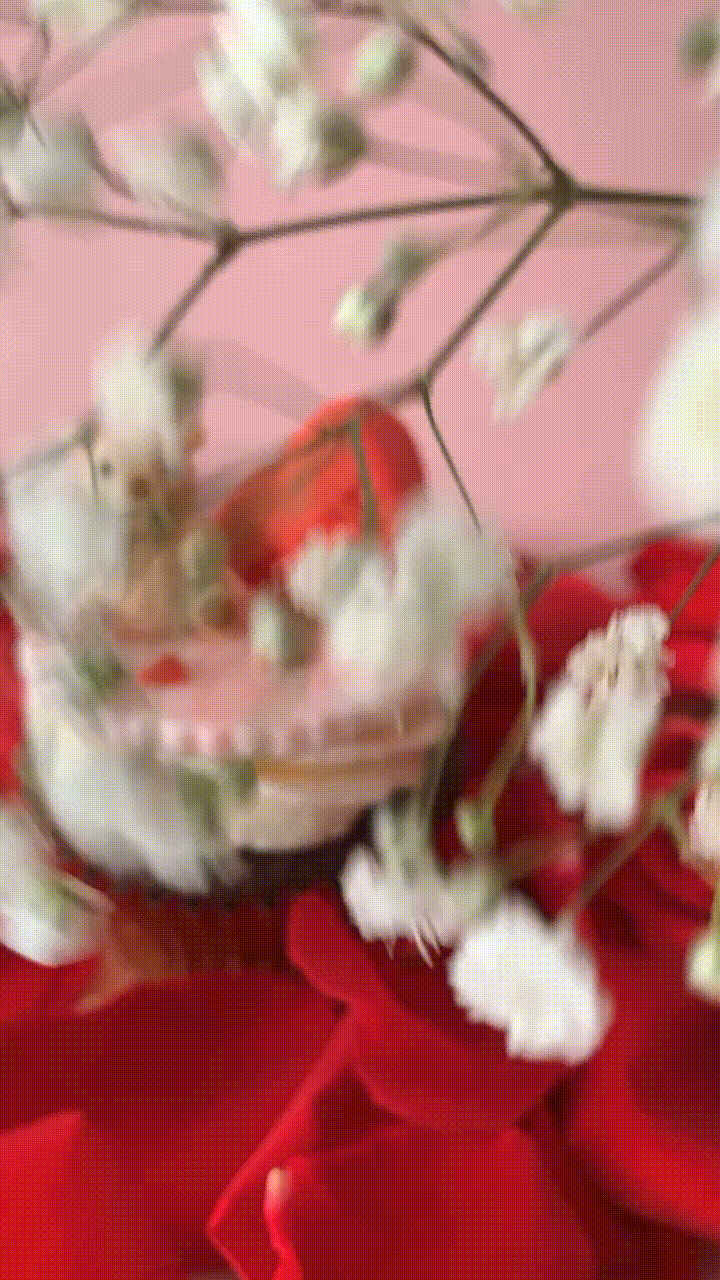Untitled-1.png
