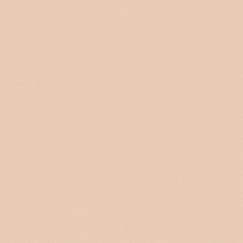 Un logo inolvidable adorables colores y una animación minimalista