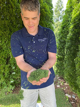 Noah's Dove Farm - Got Duckweed.JPEG