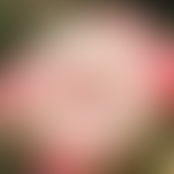 20.03.-10.04.2026 | Osterferien - Gemeinschaftshaus Panketal