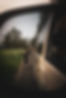 DSC06811.jpeg