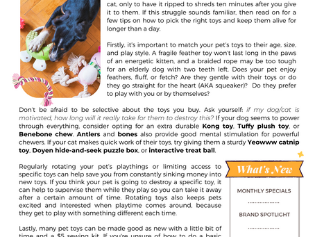 Pawsarotti's Post: Making Pet Toys Last Longer (April 2023)