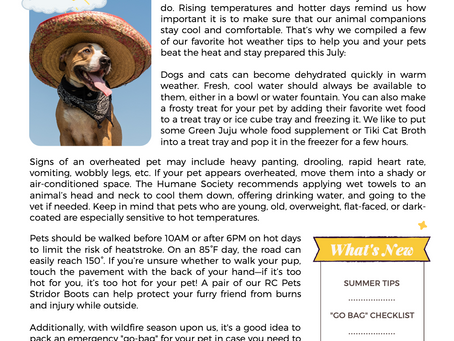 Pawsarotti's Post: Summertime Safety for Pets (July 2022)