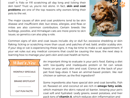 	Pawsarotti's Post: Skin & Coat Care for Pets (March 2023)