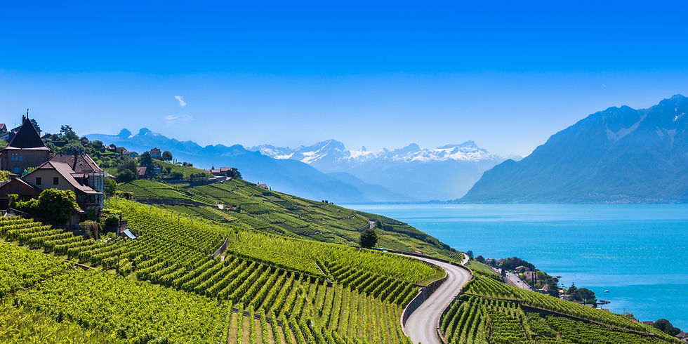 Franchise Switzerland