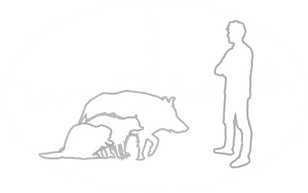 path1051-grau-weoss.png