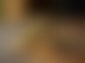 Recover Your Bitcoin: Expert Solutions Against Scams