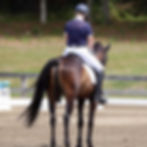 Dressage at Hits Hudson Valley June