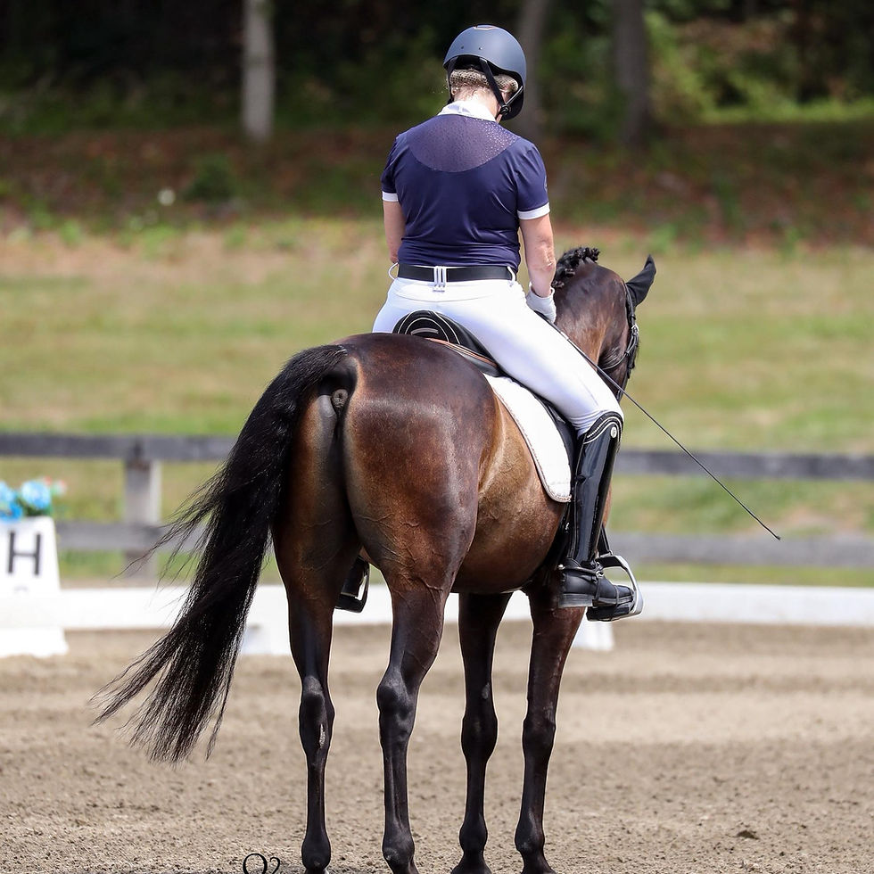 Dressage at Hits Hudson Valley June
