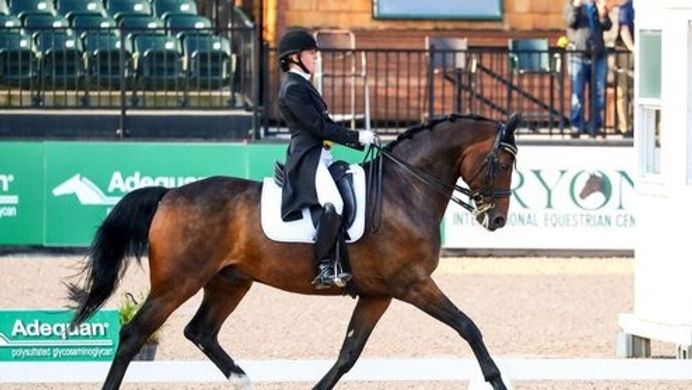 Dressage Clinic with Michelle LaBarre - FULL (1)