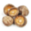 Mushroom Shiitake Dried BULK 1kg
