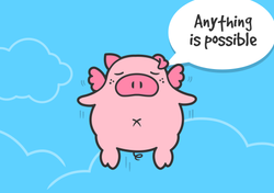 BKB-WebPortfolio-FiBi7