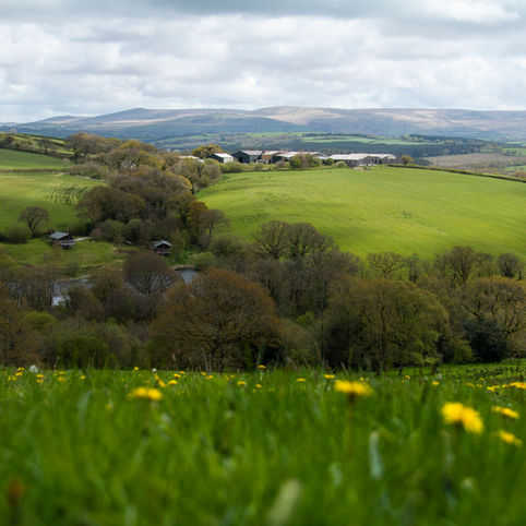 Building Resilience in UK food production: How can the UK break our dependence on Synthetic Nitrogen Fertiliser?