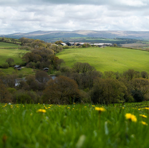 Building Resilience in UK food production: How can the UK break our dependence on Synthetic Nitrogen Fertiliser?