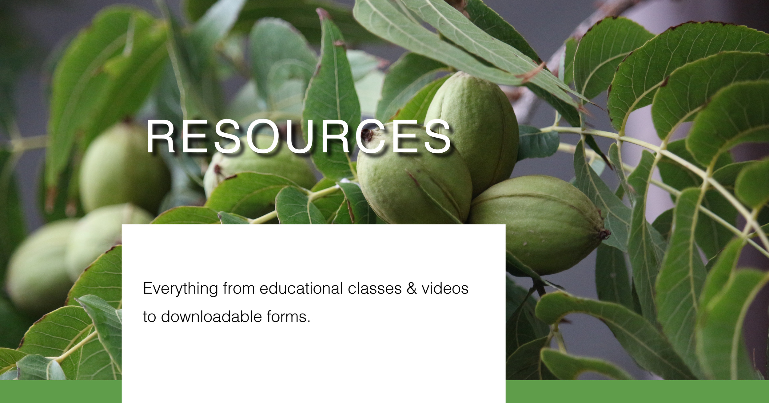 Advertising Oklahoma Pecan Growers Association