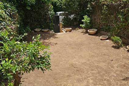 20260517_123542.jpg