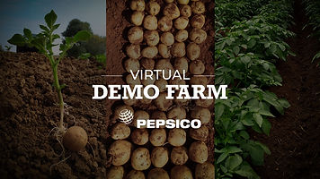 KV_PepsiCo_VirtualDemoFarm.jpeg
