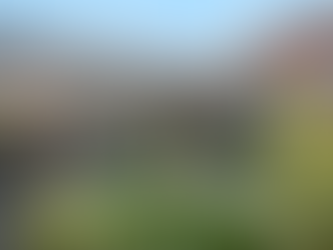 미국 비자 막히자 하버드-토론토 공동 교육 프로그램 가동