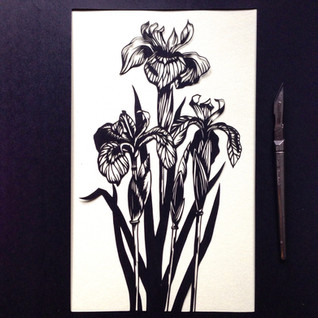 Iris £200