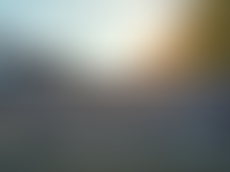 Top Roofing Services: Request Quotes Online Today