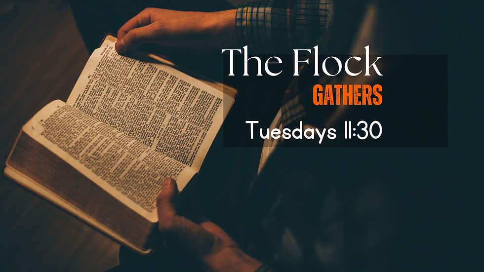 The Flock @ Impact of West Georgia