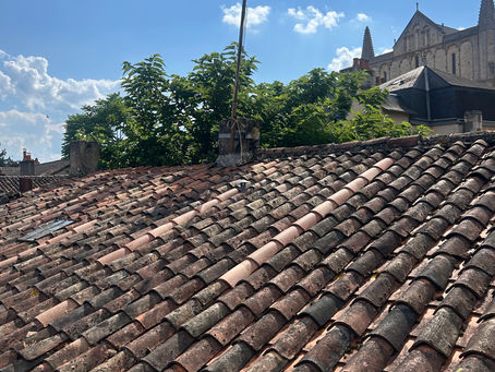 Recherche de fuite, dévégétalisation et réparation de toiture pour Foncia à Poitiers