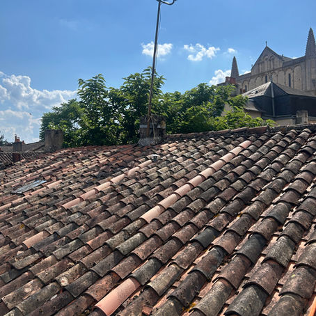 Recherche de fuite, dévégétalisation et réparation de toiture pour Foncia à Poitiers