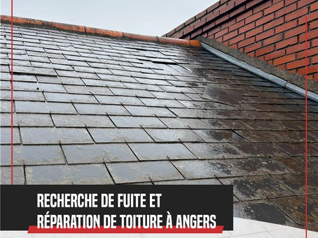 Recherche de fuite, toiture ardoise, remplacement de tuiles, nettoyage gouttières