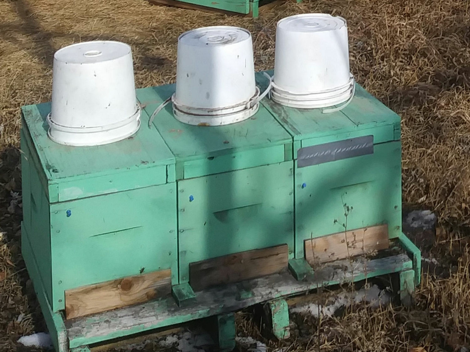 $380 - 6 framer Nucs