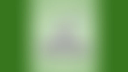 Company Announcement