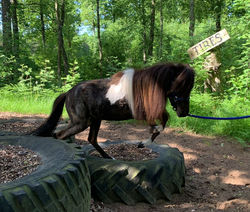 IMG-20220611-WA0013_edited