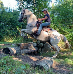 IMG-20220824-WA0026_edited