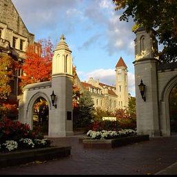 Bloomington Web1.jpg