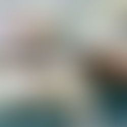 NASCAR Signature Experiences