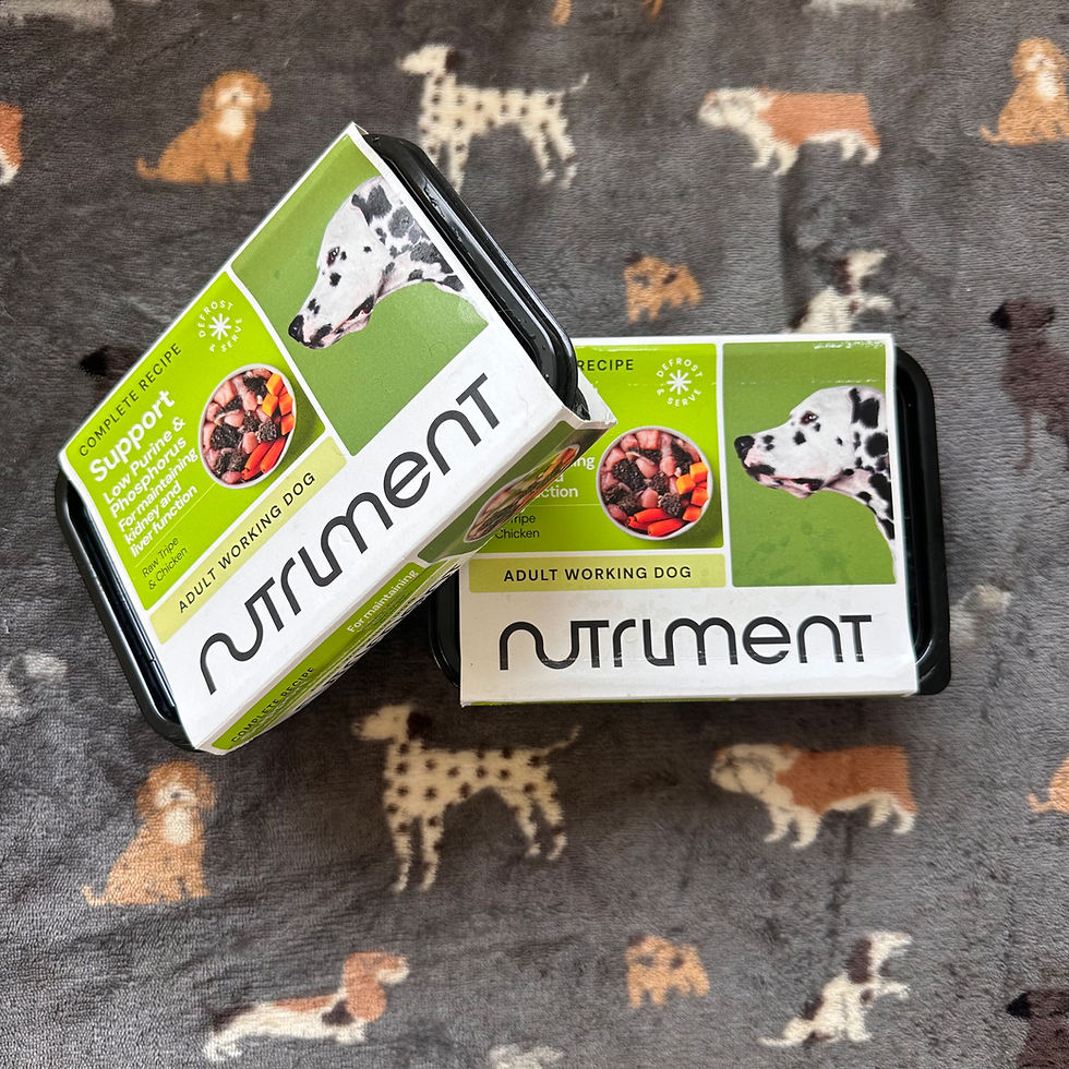 Thumbnail: Nutriment Core 500g
