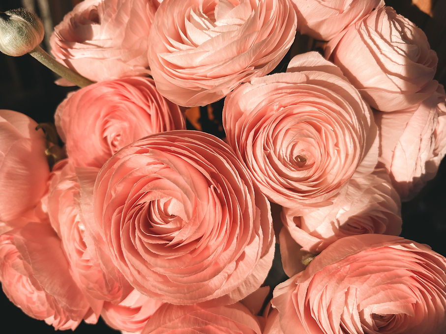 Home Riverside Flower Shop