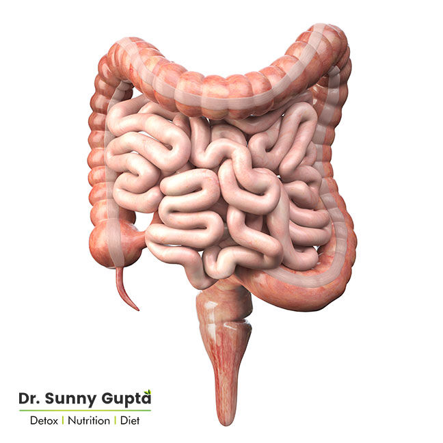 How to remove garbage from large and small intestine