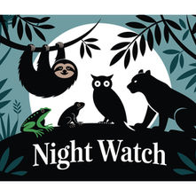 La Magia de la Noche --The Magic of the Night 