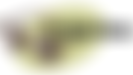 The Cheeky Critic Logo