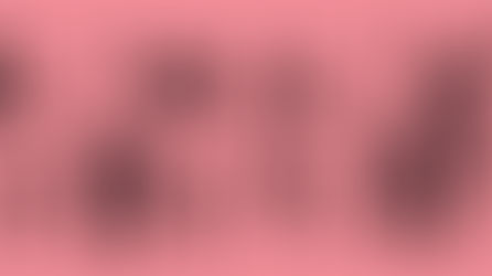 ¡QUE SIGA LA FIESTA!