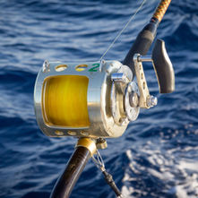 SPORTFISHING & WORLD-CLASS TOURNAMENTS at MARINA PEZ VELA