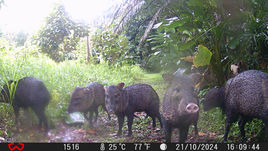 Dealing with Extremes – by Jack Ewing