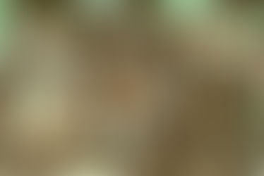 ¿Qué Hay Debajo de la Máscara?