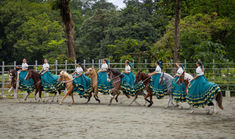 DONDE LA SEDA SE ENCUENTRA CON EL TRUENO